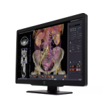 CL-S600 6 MP