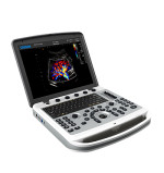 SonoBook 6