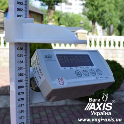 Ростомір медичний BDU300-Medical+ з вагами для зважування людей фотографія 8 