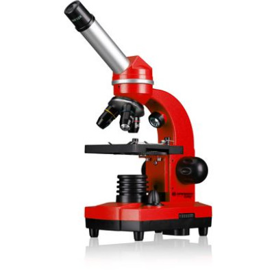 Мікроскоп Bresser Junior Biolux SEL 40x-1600x Red з адаптером для смартфона Мікроскоп Bresser Junior Biolux SEL 40x-1600x Red з адаптером для смартфона фотографія 2