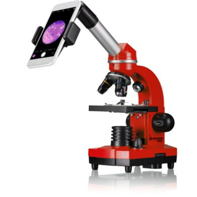 Мікроскоп Bresser Junior Biolux SEL 40x-1600x Red з адаптером для смартфона Мікроскоп Bresser Junior Biolux SEL 40x-1600x Red з адаптером для смартфона фотографія 3