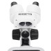 Мікроскоп SIGETA MS-244 20x LED Bino Stereo фотографія 4