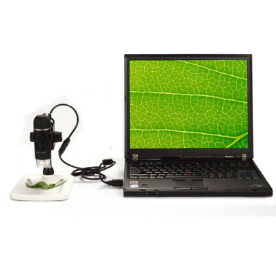 Цифровий мікроскоп SIGETA Expert 10x-300x 5.0Mpx Цифровий мікроскоп SIGETA Expert 10x-300x 5.0Mpx фотографія 7