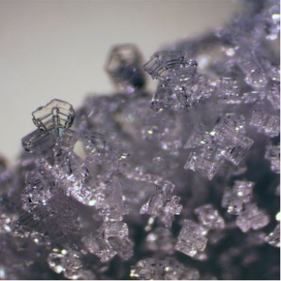 Мікроскоп Bresser Erudit ICD (30.5) Мікроскоп Bresser Erudit ICD (30.5) фотографія 6