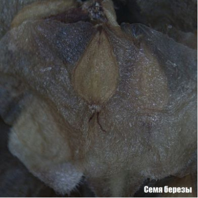 Мікроскоп National Geographic Stereo 20x Мікроскоп National Geographic Stereo 20x фотографія 8