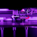 Принтер для устілок Sensor Medica EasySnap3D XL фотографія 5 